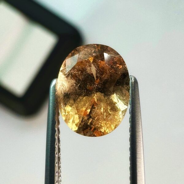 Hessonite Garnet 2.38 ct - Golden & Shine
