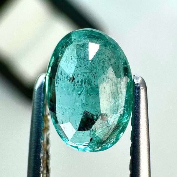 Rare Emerald, Beautiful Clarity, 0.82 ct - Jamel Gems
