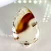 Buy Montana Agate - Cabochon Stone - Jamel Gems