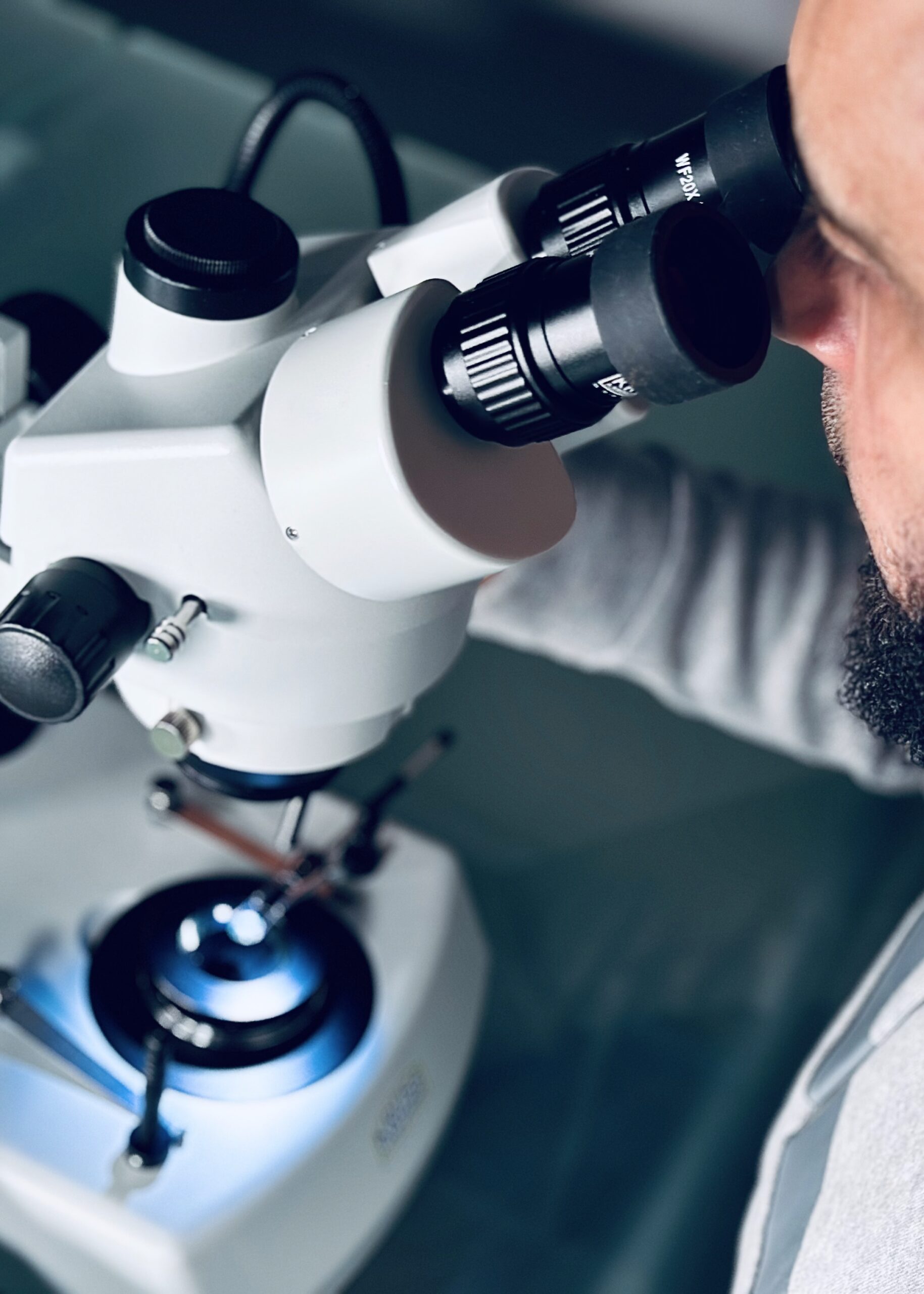 Microscope stéréo Zoom