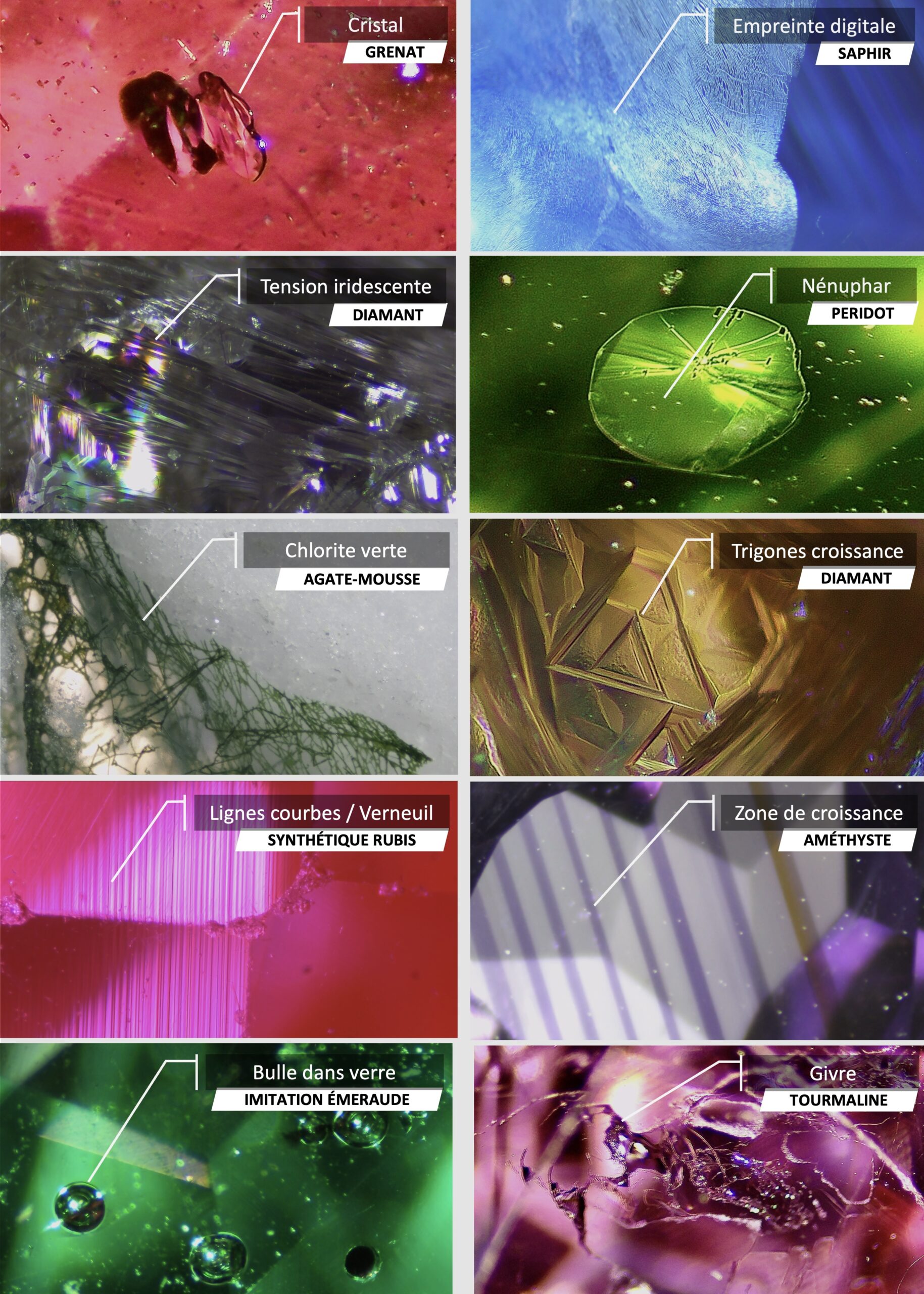 Images d'inclusions dans les pierres