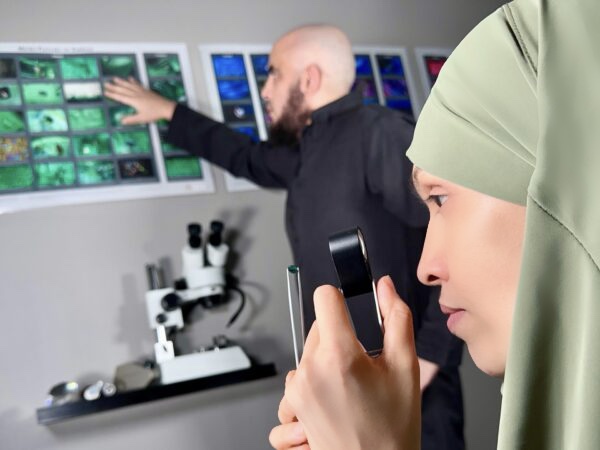 Gemology Course Online – Professional Gemstone Training